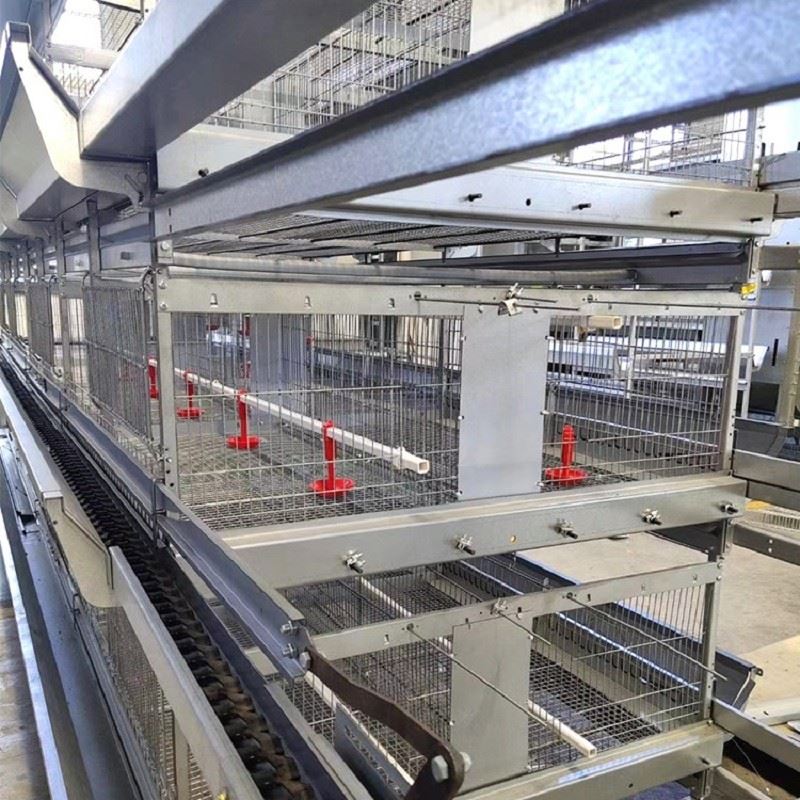 Chicken Cage Mesh best