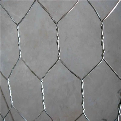 Wire Mesh Ayam Heksagon